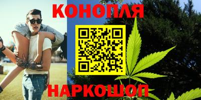 индика Ливны