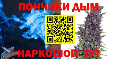 индика Ливны