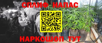 индика Ливны