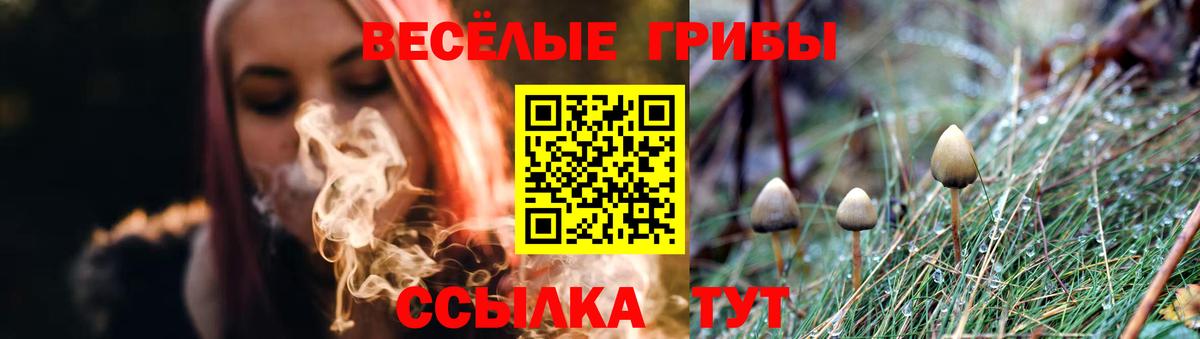 Псилоцибиновые грибы GOLDEN TEACHER  Вход с VPN  Дзержинск 